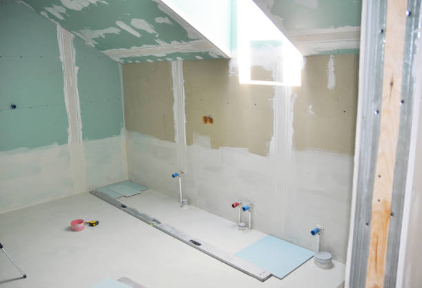 Best Attic Mold Removal  in Robbins, IL