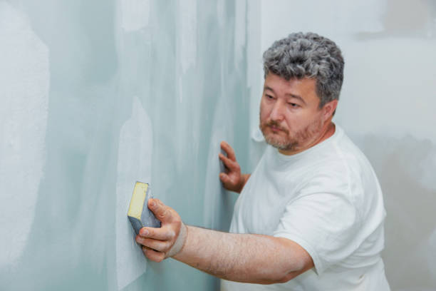 Best Residential Mold Inspection & Testing  in Robbins, IL