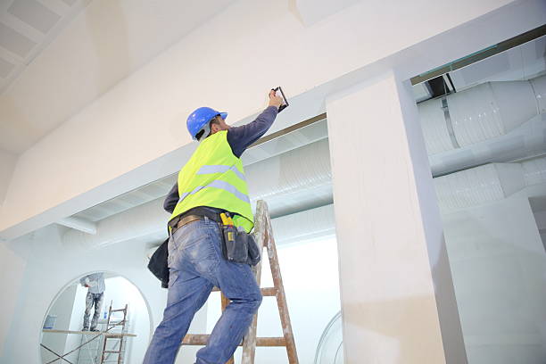 Best Asbestos and Lead Testing During Mold Inspection  in Robbins, IL