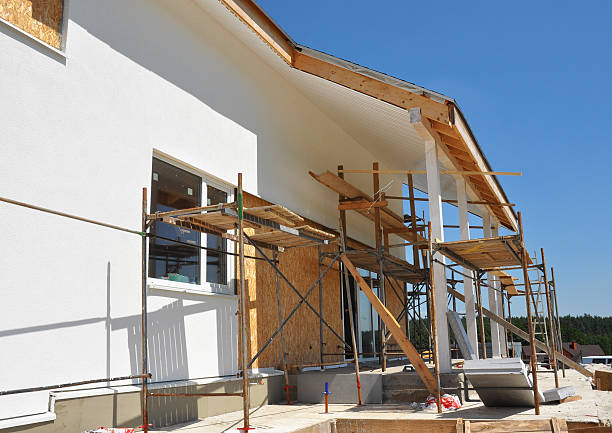 Best Real Estate Mold Inspection  in Robbins, IL