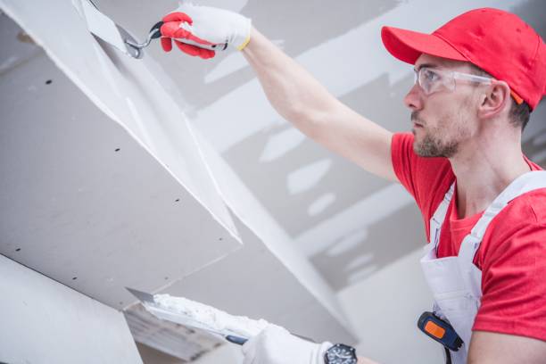 Best Biohazard Mold Removal  in Robbins, IL